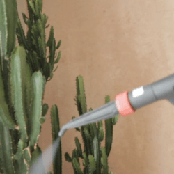 steam cleaner on plants
