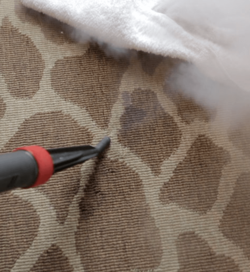 steam clean carpets
