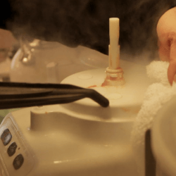 steam clean food processor