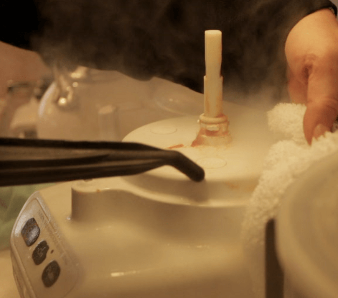 steam clean food processor