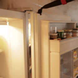 steam clean refrigerator door gasket