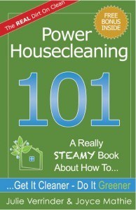 Sargent Steam Cleaner Power Housecleaning 101